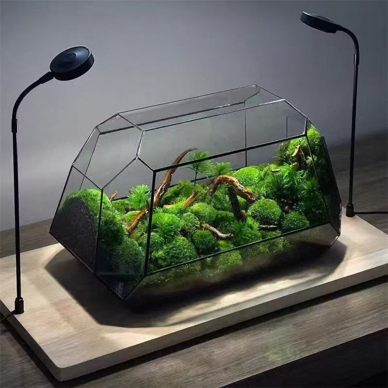 BenRussell Geometrisches Glas-Terrarium für Mikro-Landschaften und Sukkulenten, Transparent, Rechteckig - Bild 2