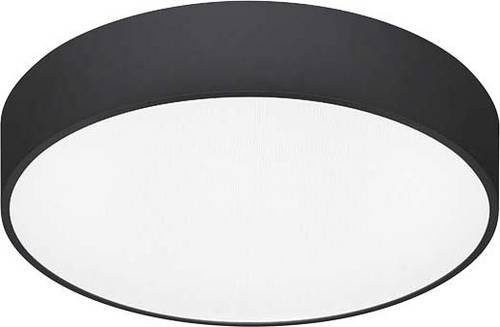 Trilux Solegra WD1 Dekorelement in Schwarz - Bild 1