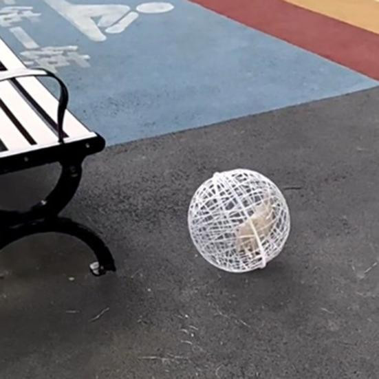 Pets Home Rollender Hühnerballkäfig aus Kunststoff mit abnehmbarem Netzgehege für Küken, Durchmesser: 20 cm - Bild 4