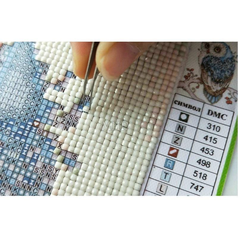 FIYO Diamond Painting Set Schlittenhund mit Strass Motiven, 5D DIY Mosaik Kunst für Weihnachten und Geburtstag, mehrfarbig, B/B: 30 x 30 cm - Bild 1