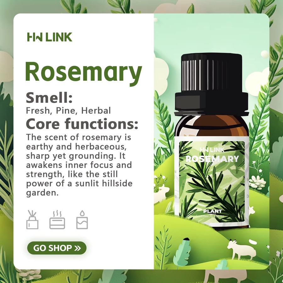 HWLINK Rosmarinöl, 10 ml, Unisex - Bild 2