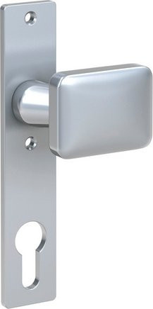 BASI Knopfkurzschild SK 913 aus Aluminium in Silberfarben mit PZ-Lochung für gekröpfte Knöpfe - Bild 1