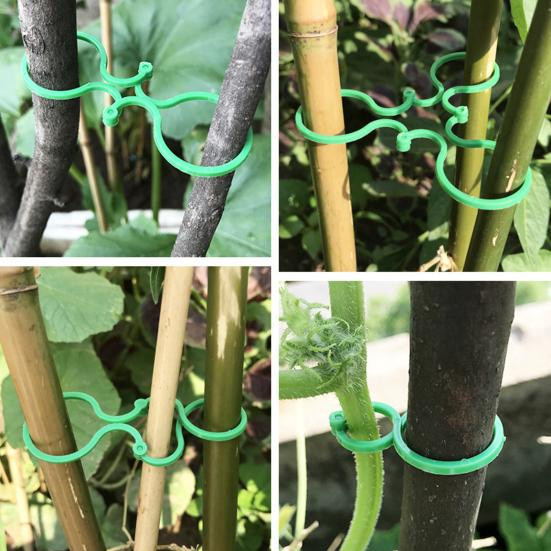 Talos home Garden Gartenpflanzenklammern aus Kunststoff für Innen- und Außenbereich, 100 Stück - Bild 2