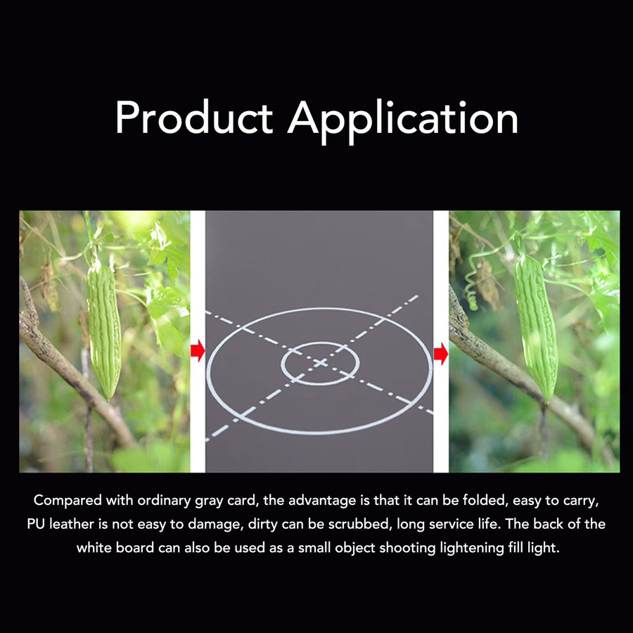 Andoer Focus Board Graue Karte mit Weißabgleichplatte und faltbarer Hilfs-Fokusskala in Grau inklusive Tragetasche - Bild 3