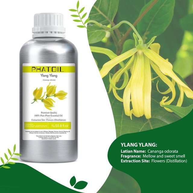 PHATOIL Ätherische Öle Vanille, Lavendel, Rosmarin, Geranie, Ylang Ylang, 1000 ml - Bild 1