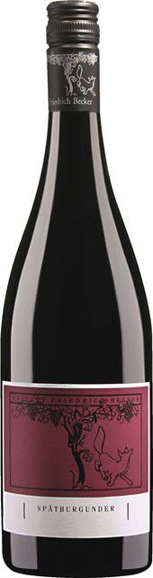 Friedrich Becker Rotwein Pinot Noir 2020, Pfalz, trocken, 0,375 l - Bild 1