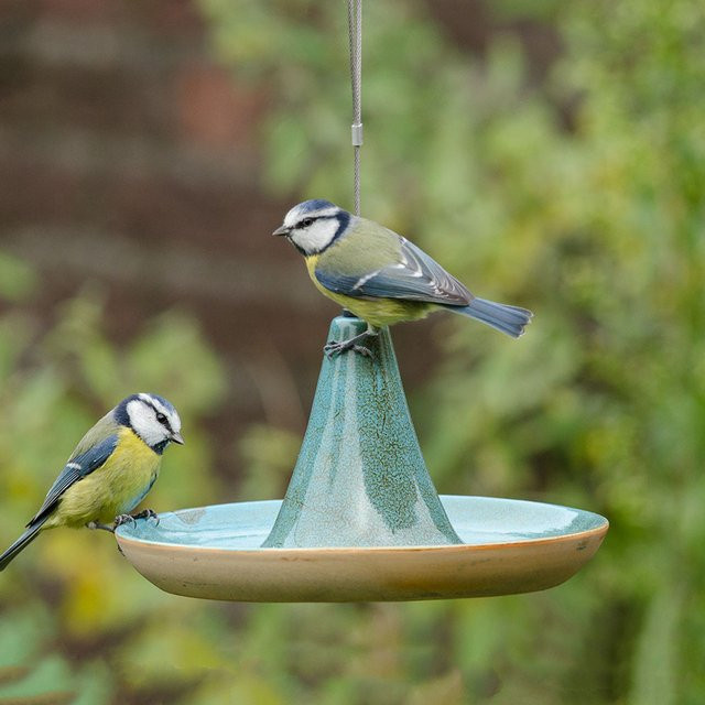 Vogeltränke Vierno Tajine von CJ Wildlife aus Keramik in Türkis und Multicolour - Bild 1
