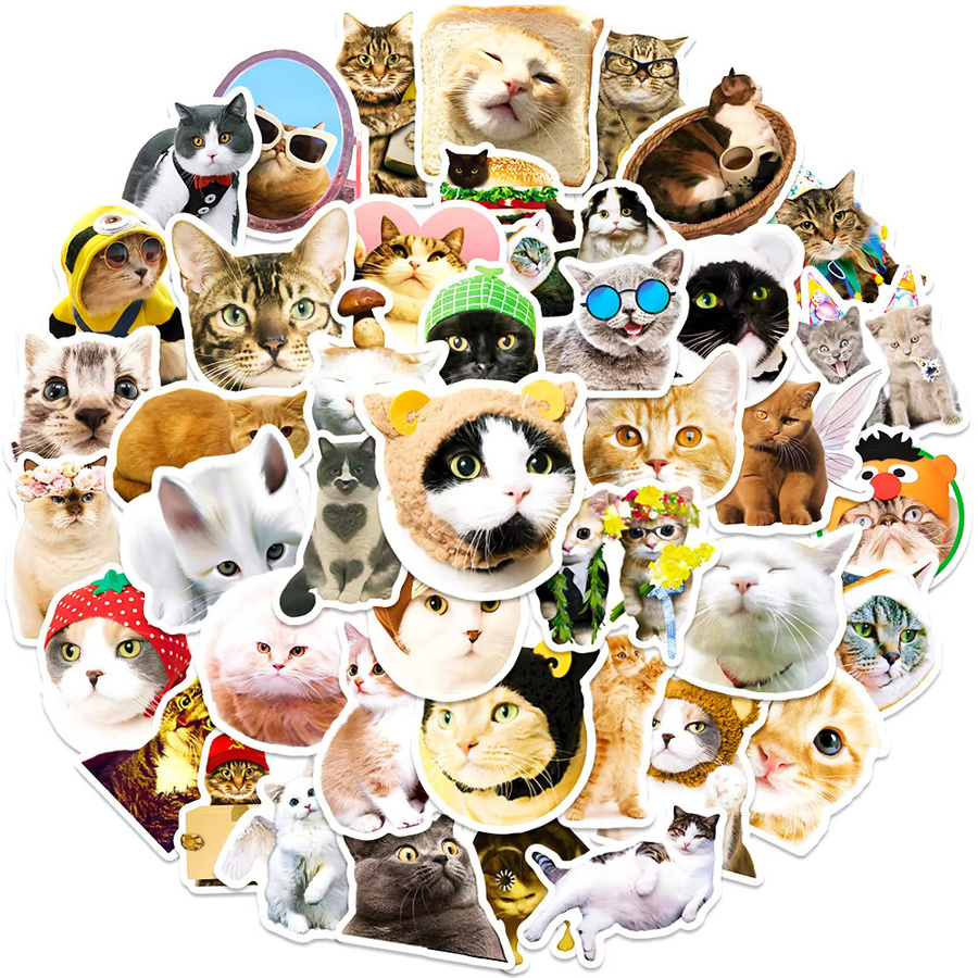 50 lustige und süße Katzen-Meme-Aufkleber von Anime Worlds Store in Multicolor für Wasserflaschen, Laptops und Handyhüllen - Bild 3