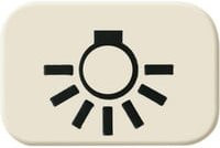Busch-Jaeger Tastersymbol Licht 2525 LI mit Rahmen in Weiß und Beige - Bild 1