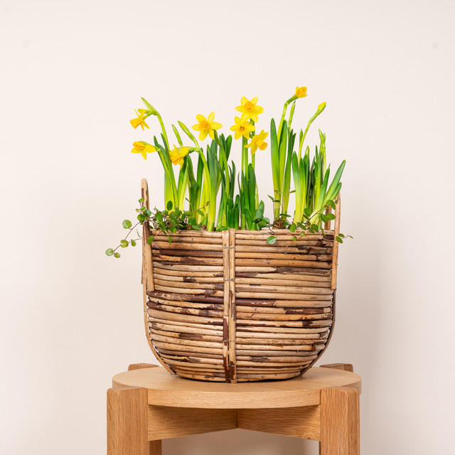Rattan Korb von BLUME2000 in Braun - Bild 1
