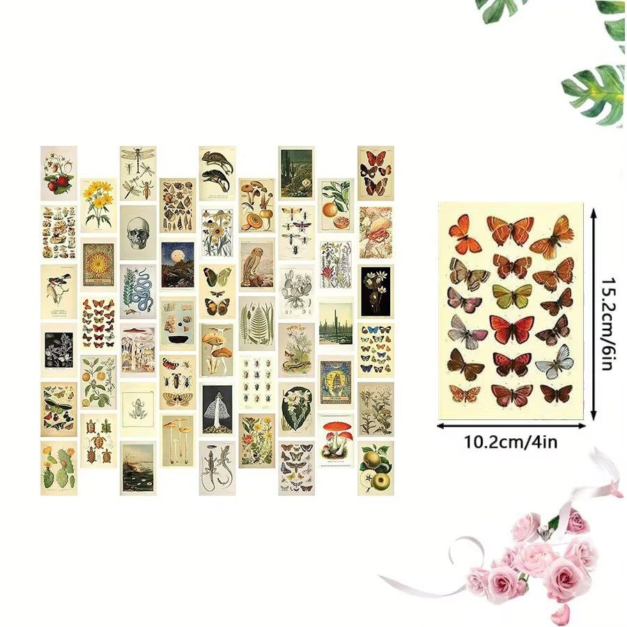 50-teiliges Set Vintage-Sammelkarten mit botanischen Illustrationen von Pflanzen, Schmetterlingen und Pilzen in Multicolour zur Raumdekoration - Bild 2