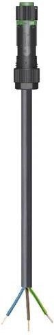 Wieland Electric 46.433.2035.7 Anschlussleitung in Schwarz - Bild 1