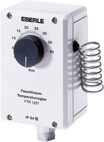 Eberle Controls Temperaturregler FTR 1207 in Grau und Weiß - Bild 1
