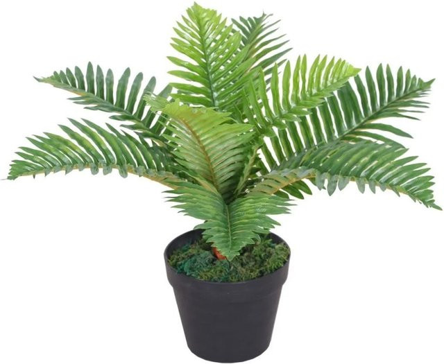 Lex Künstpflanze Farn als grüne Tischpflanze, Höhe: 50 cm - Bild 1