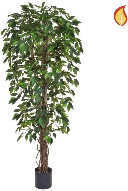 Künstlicher Ficus Annika von Aplanta, Höhe: 180 cm - Bild 1