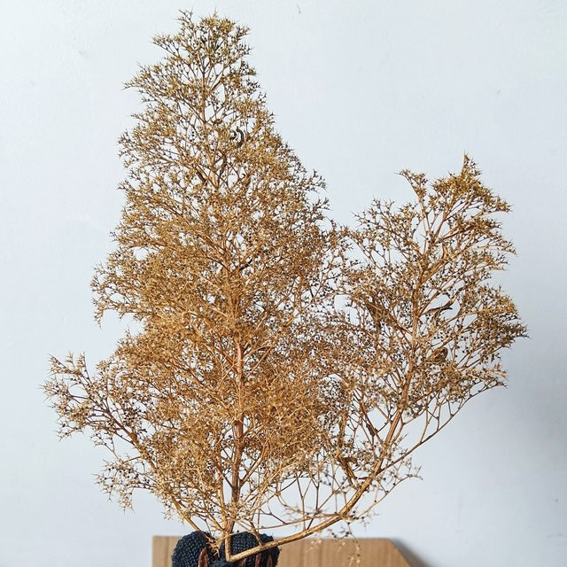 TERAYSUN Meeresmoos/Meerespflanzen, Modellbaum-Zubehör, Natur - Bild 1