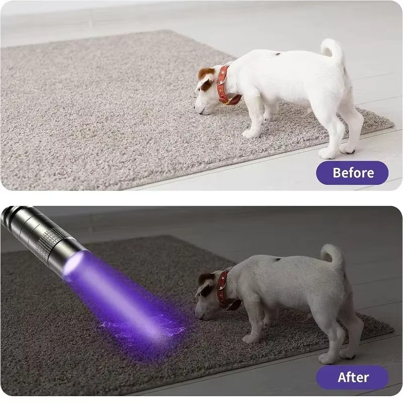 NEWBIRTH UV-Taschenlampe 395nm Ultraviolettes Licht in Schwarz als tragbarer Haustier-Urin-Detektor und Skorpion-Finder mit Stiftclip - Bild 2