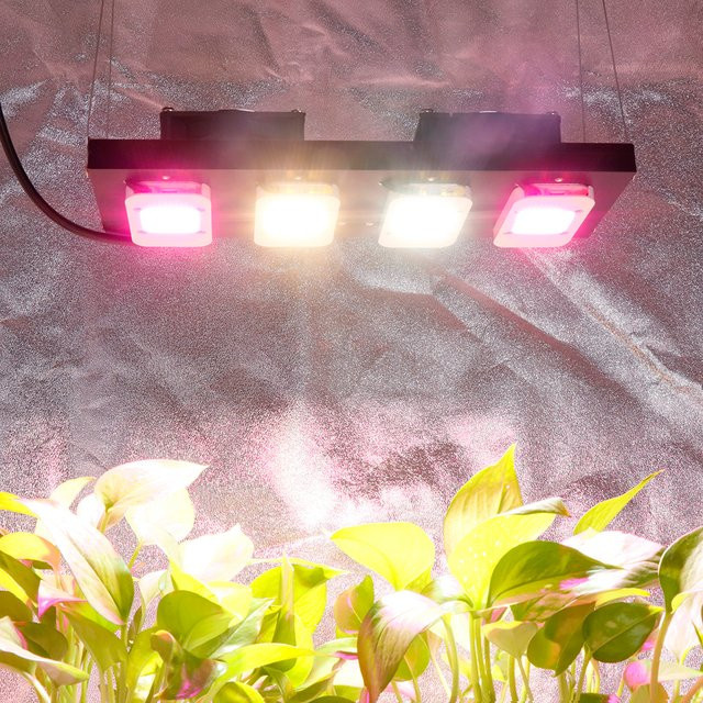 YXO YUXINOU 2000W COB LED Pflanzenlampe mit Vollspektrum für Indoor Growbox, Blumen, Gemüse und Sämlinge - Bild 1
