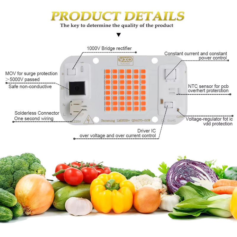 YXO YUXINOU 2000W COB LED Pflanzenlampe mit Vollspektrum für Indoor Growbox, Blumen, Gemüse und Sämlinge - Bild 4