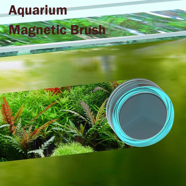 Qanvee Magnetische Aquarium-Bürste in Blau zur Algenreinigung für Glas und Fischbecken - Bild 1
