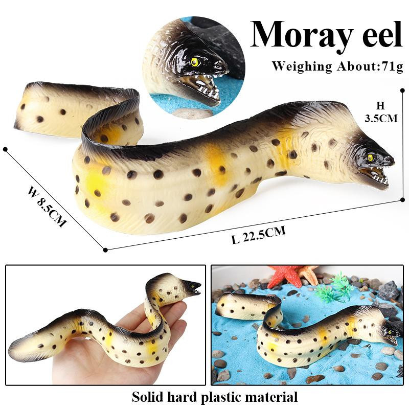 Oenux Unterwasser-Meeresbewohner Muräne Conger Modell Actionfiguren ab 3-6 Jahren - Bild 3