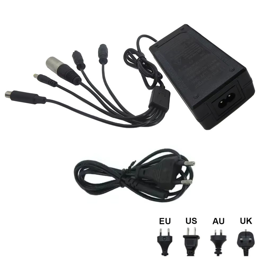 CYGEREEN Lithium-Ladegerät 29,4V 2A für 7S 24V Li-Ionen-Akkus mit 5-in-1-Stecker (GX12, GX16, XLRM, 8 mm), Schwarz - Bild 2