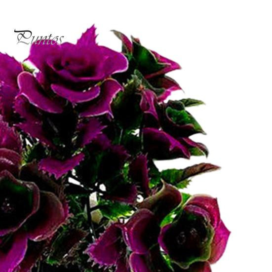 Puntos Dekorative Bonsai Kunstpflanze Chinesische Rosen in Rose Rot aus Kunststoff - Bild 3