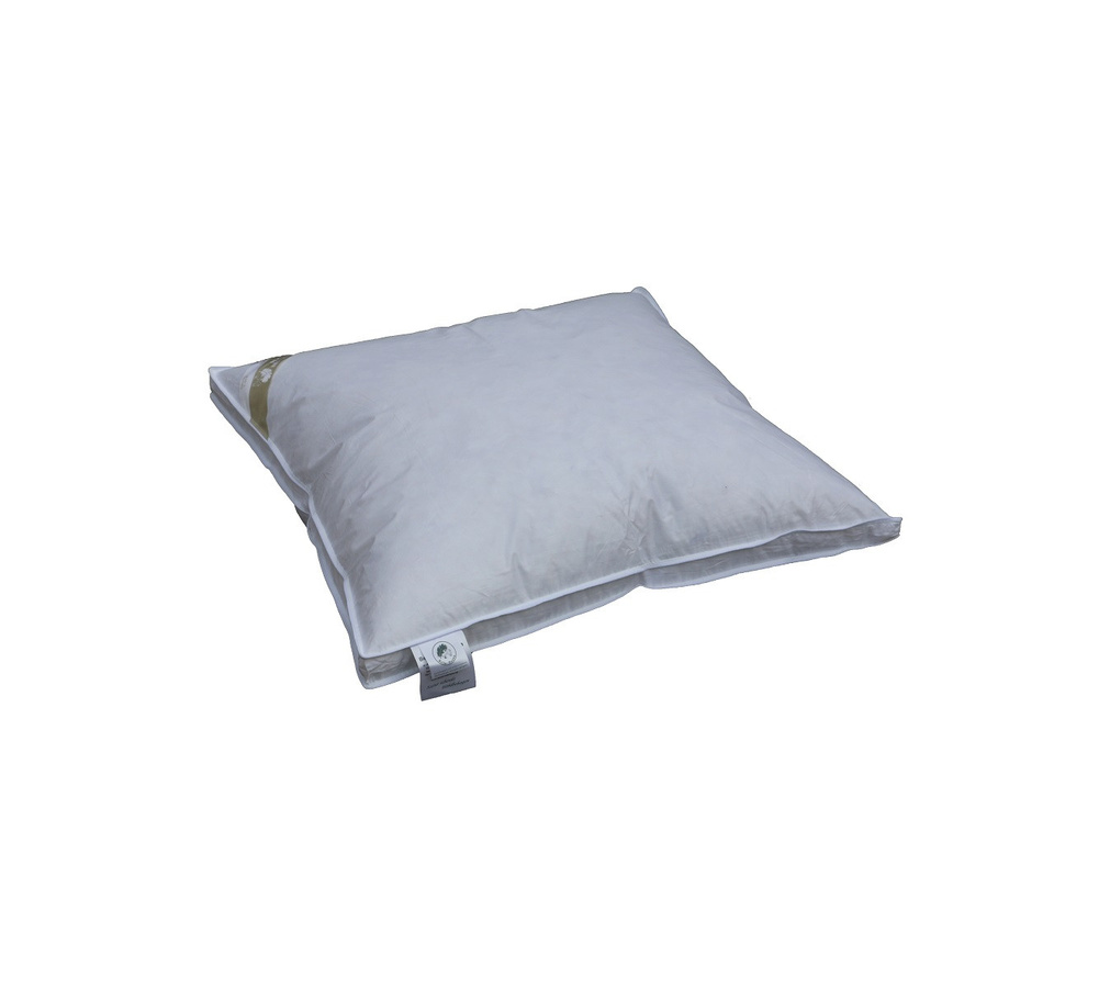 Betten Hofmann Exklusives Daunenkissen mit Außensteg, Farbe: Weiß, B/T: 80 x 80 cm, 100% Daunen, 1000g - Bild 1