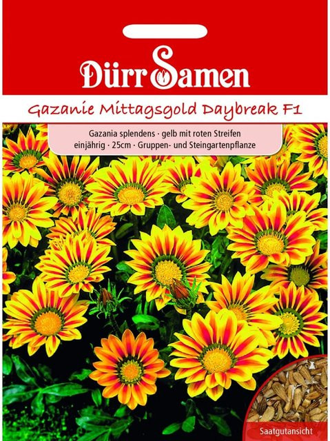 Dürr Gazania Daybreak Red Stripe F1 Einjähriges Saatgut für Blumenkästen und Steingärten - Bild 1
