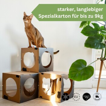 DoPetMe Katzenhaus Kitten Castle in Schwarz - Bild 2