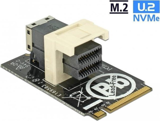 DeLOCK Adapter M.2 Key M auf SFF-8643 NVMe horizontal, U.2 NVMe Schnittstellenadapter für SSD, Schwarz - Bild 1