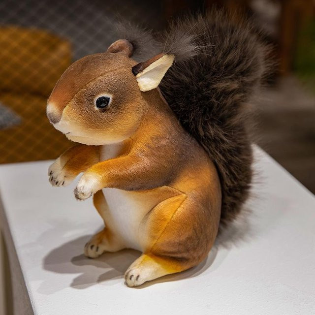 Binchi Fitness Eichhörnchen Plüschtier, braun, ab 14 Jahre - Bild 1
