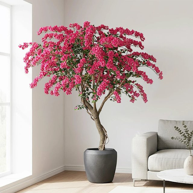 Künstliche Bougainvillea Edgar von Aplanta, 270 cm Höhe - Bild 1