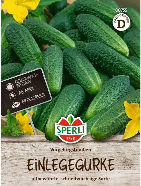 SPERLI Einlegegurken-Samen Vorgebirgstrauben - Bild 1
