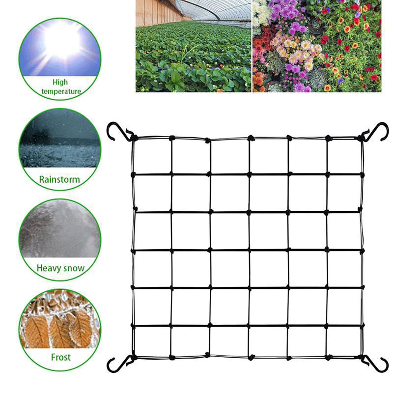 Schwarzes Trellis Garten Spalier als elastische Scrog Schutzhülle für Obstbäume und Pflanzen zur Unterstützung beim Wachsen, Breite: 40 cm - Bild 3