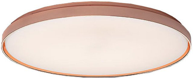 Flos Clara LED Wand- und Deckenleuchte in Bronze und Weiß, dimmbar - Bild 1