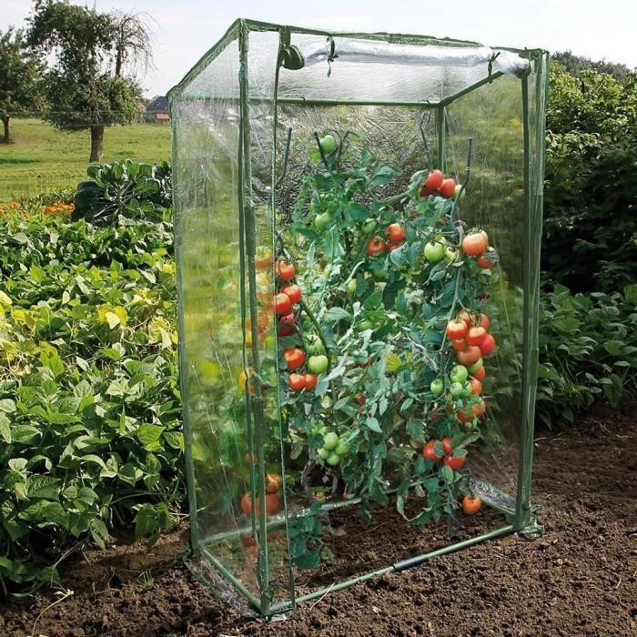 Nature Tomatengewächshaus H: 150 cm, B: 100 cm, T: 50 cm - Bild 2