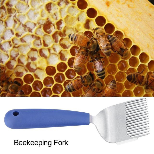 Bienen Entdeckelungsgabel aus Edelstahl mit Kunststoffgriff für die Imkerei - Bild 1