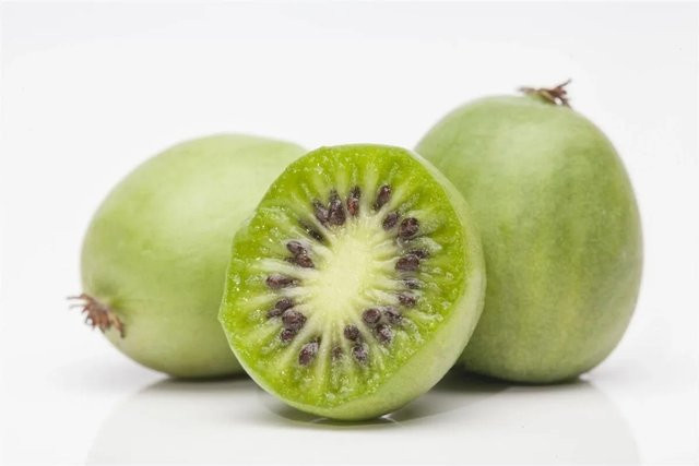 Actinidia Arguta Kiwi winterharte Kletterpflanze in Grün, Höhe: 60–100 cm - Bild 1