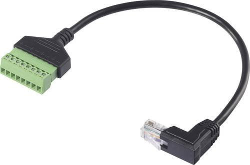Renkforce RJ45 Netzwerk Adapterkabel Ethernet/LAN Schwarz, Länge: 30 cm - Bild 1