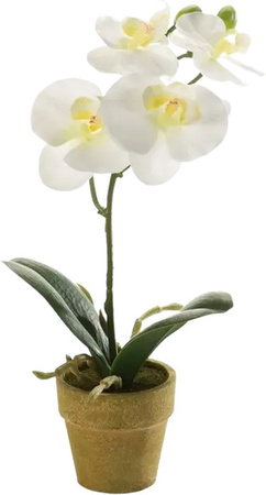 Künstliche Orchidee Louisa von artplants in Weiß, Höhe: 25 cm