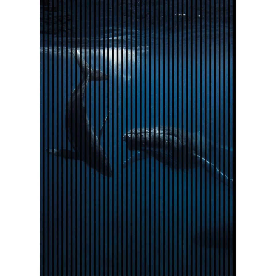FN Acustico Akustikplatte Wal 1 aus PET und MDF in Bunt, B/H: 169,3 x 240 cm, Tiefe: 1,9 cm - Bild 2