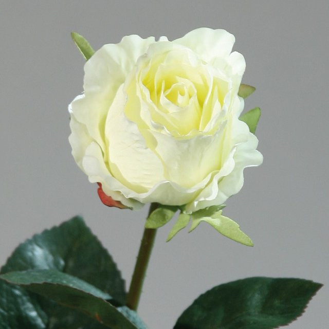 Künstliche Rose in Beige und Weiß aus Kunststoff, Höhe: 43,0 cm - Bild 1