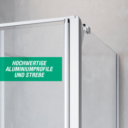 GEO Doppelpendeltür aus Glas in Silber mit 6 mm Scheibenstärke, B/H/T: 80 x 195 x 90 cm - Bild 2