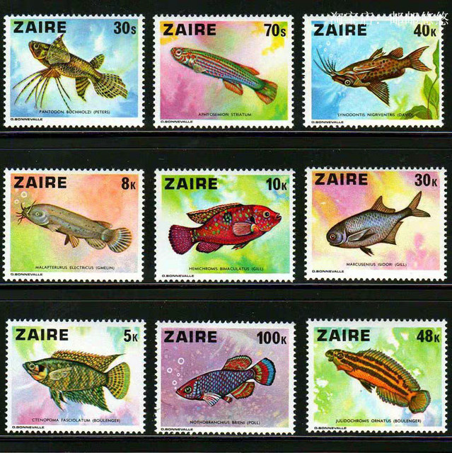 Briefmarken-Set Zaire Post 1978 Tropische Fische 9 Teile MNH mehrfarbig - Bild 1
