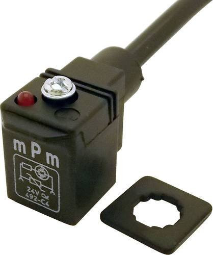Molex DIN 43650 Stecker in Schwarz - Bild 1