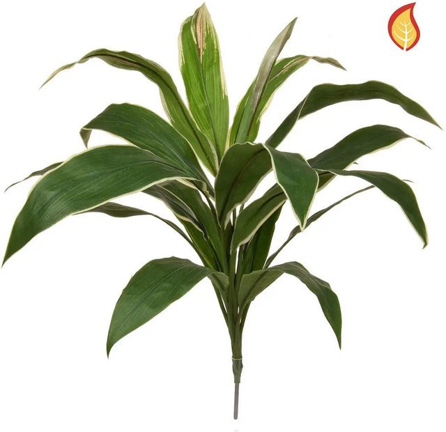 Künstliche Cordyline Berta von Aplanta, Höhe: 62 cm - Bild 1