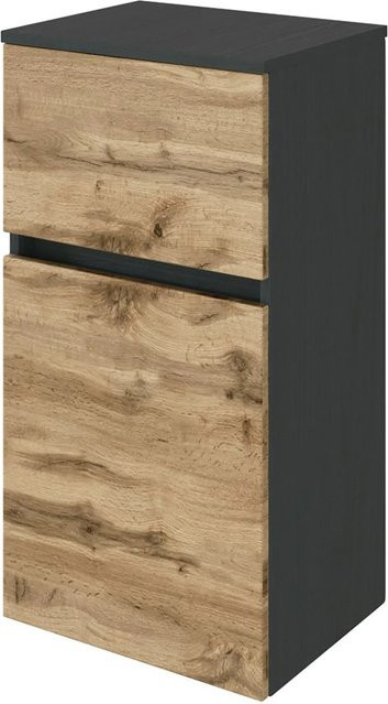 Unterschrank Bari von Held Möbel in Wotaneiche und Graphitgrau, Breite: 40 cm, Höhe: 79 cm, Tiefe: 35 cm - Bild 1