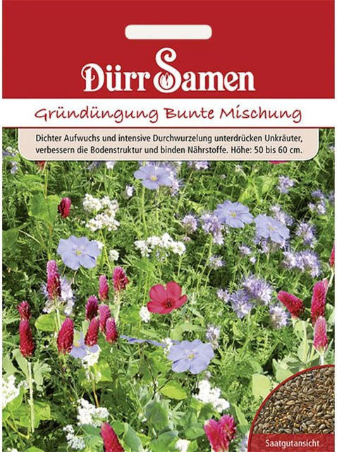 Dürr Gründüngung Bunte Mischung Saatgut 50 g - Bild 1