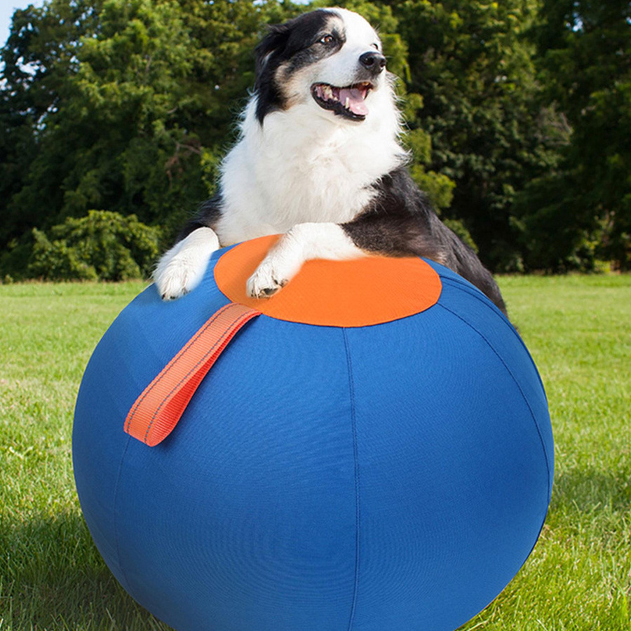 Water Loquat, Großer Treibball für Hunde, Outdoor-Spielzeug - Bild 4
